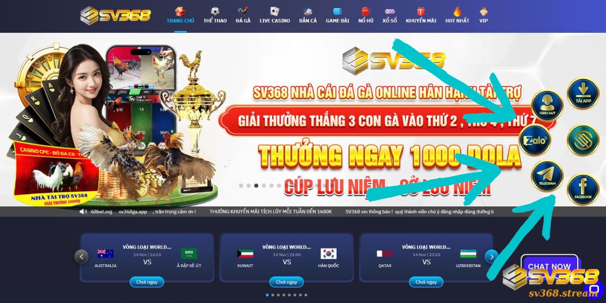 Người chơi có thể tìm kiếm SV368 ở đâu?