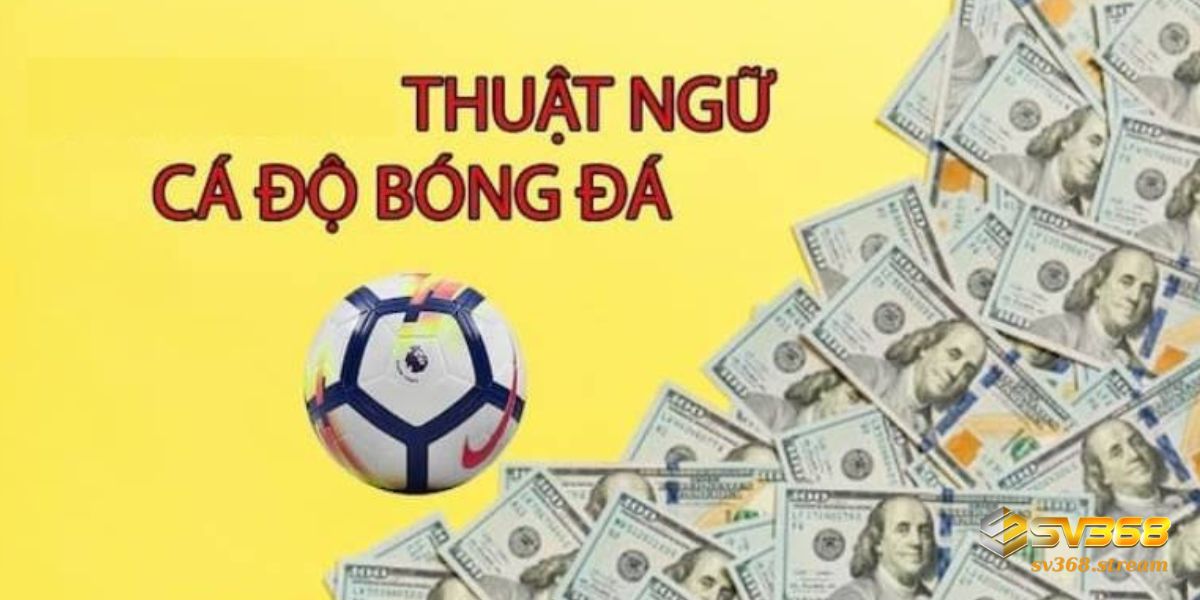 Các thuật ngữ cá độ bóng đá quan trọng bạn cần biết